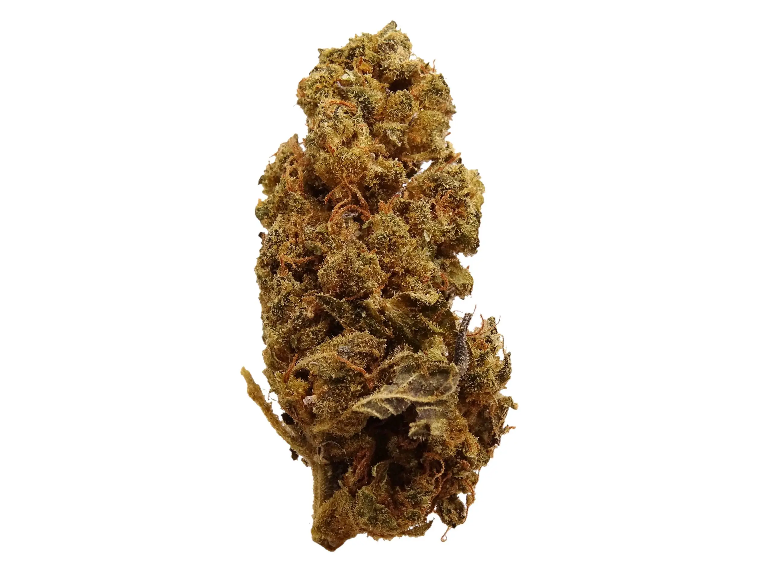 Grease Monkey Strain - Image 4