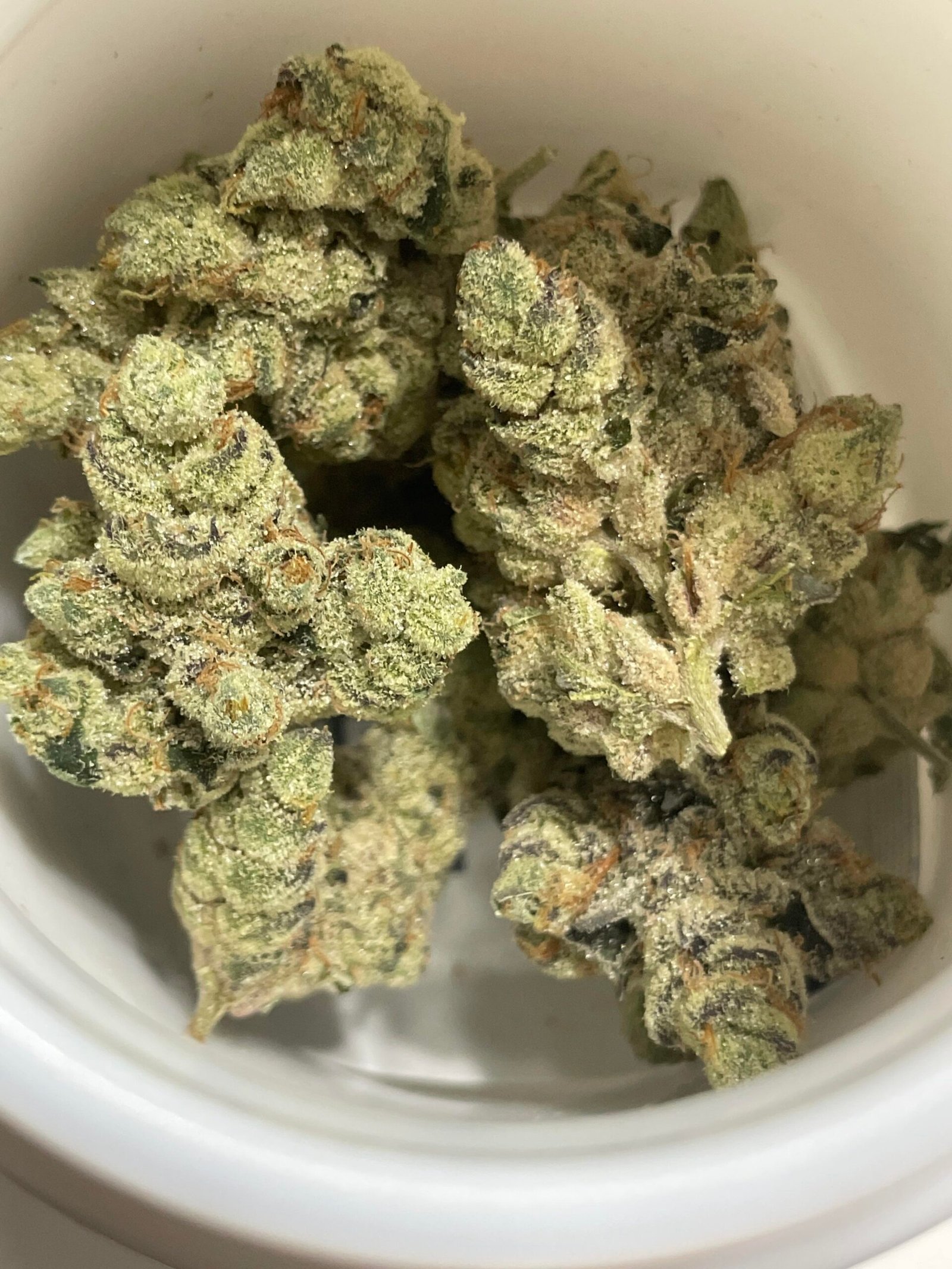 Honey Haze Strain - Image 3