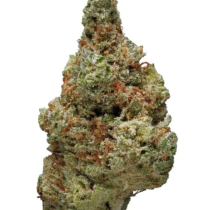 Sherblato Strain