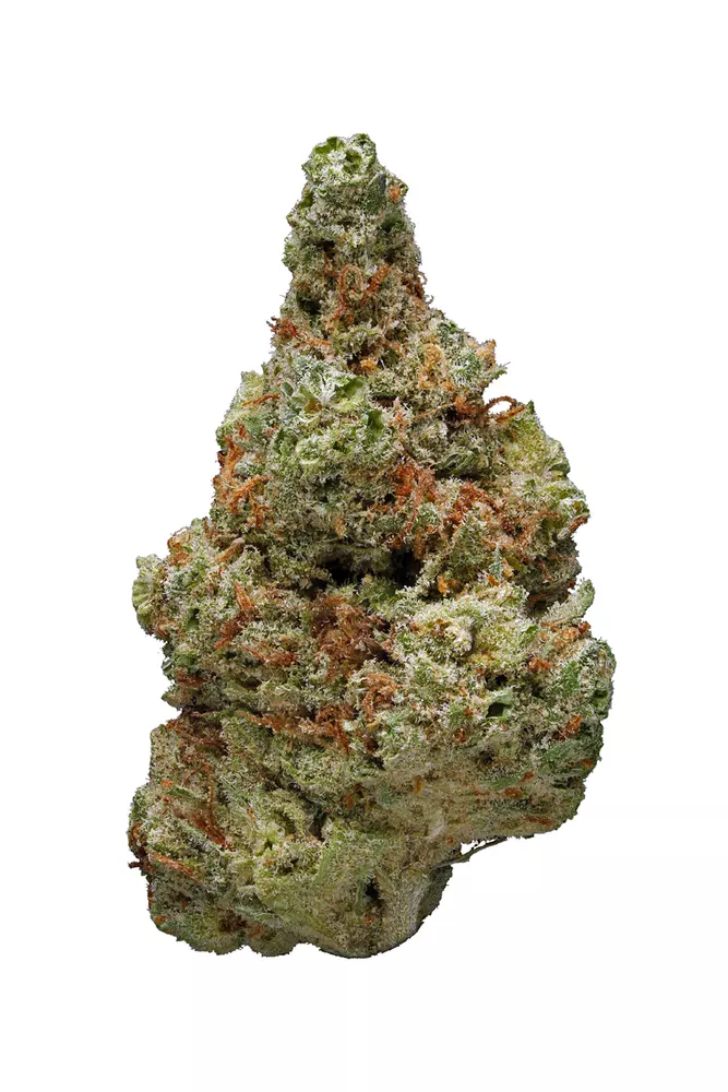Sherblato Strain