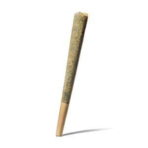 Chronic Guru Pre Roll 300x300