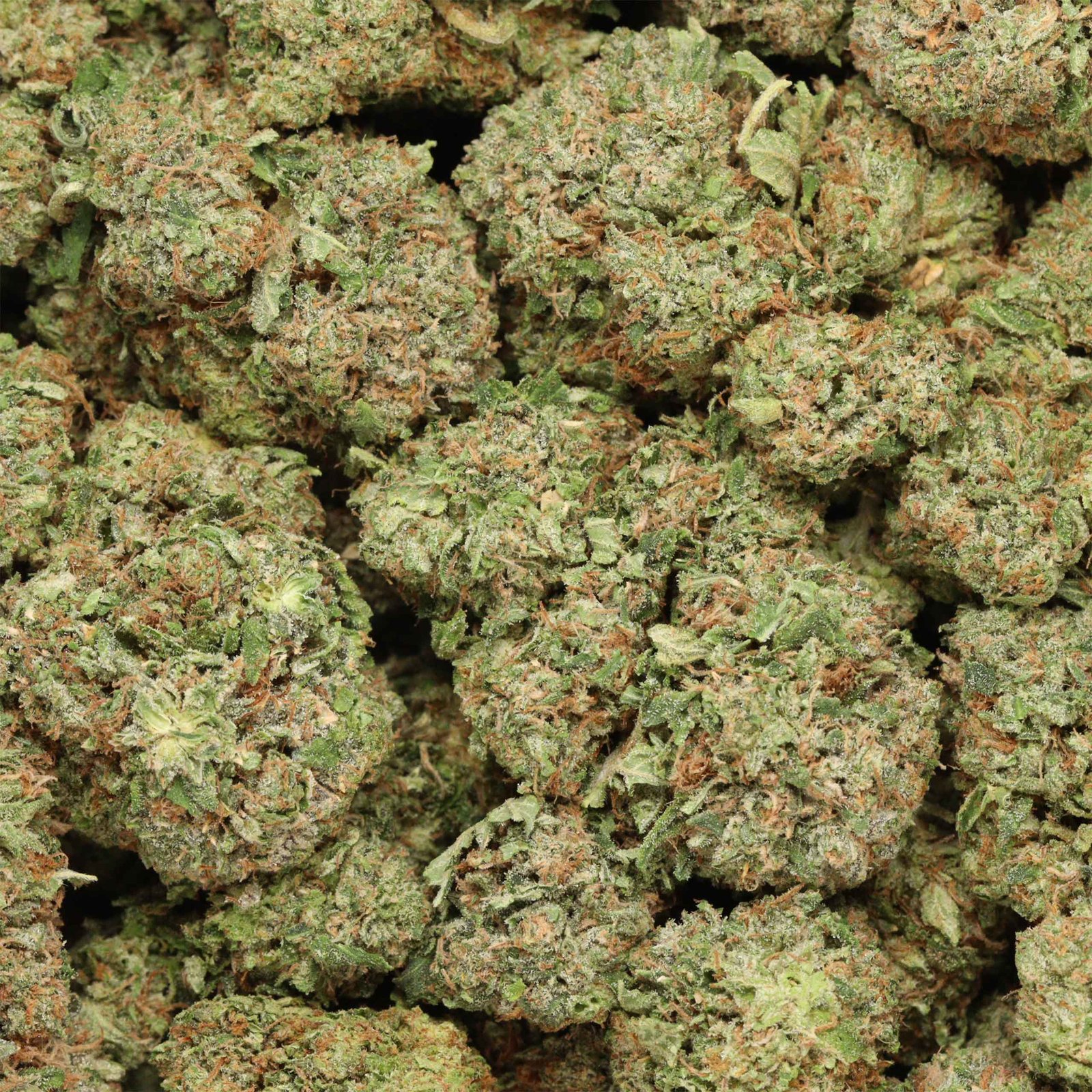 Death Bubba - Image 2