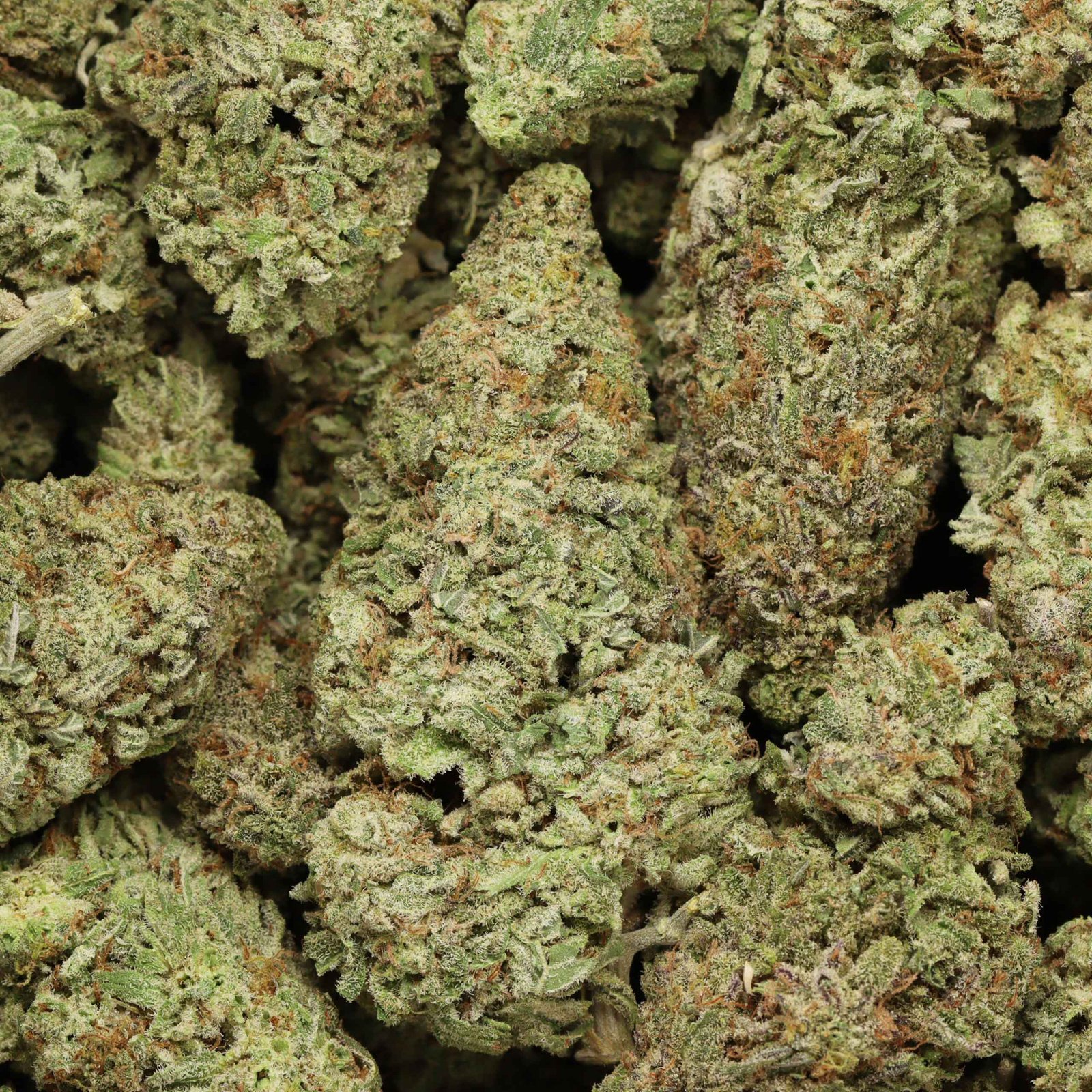 Dirty Mac - Image 2