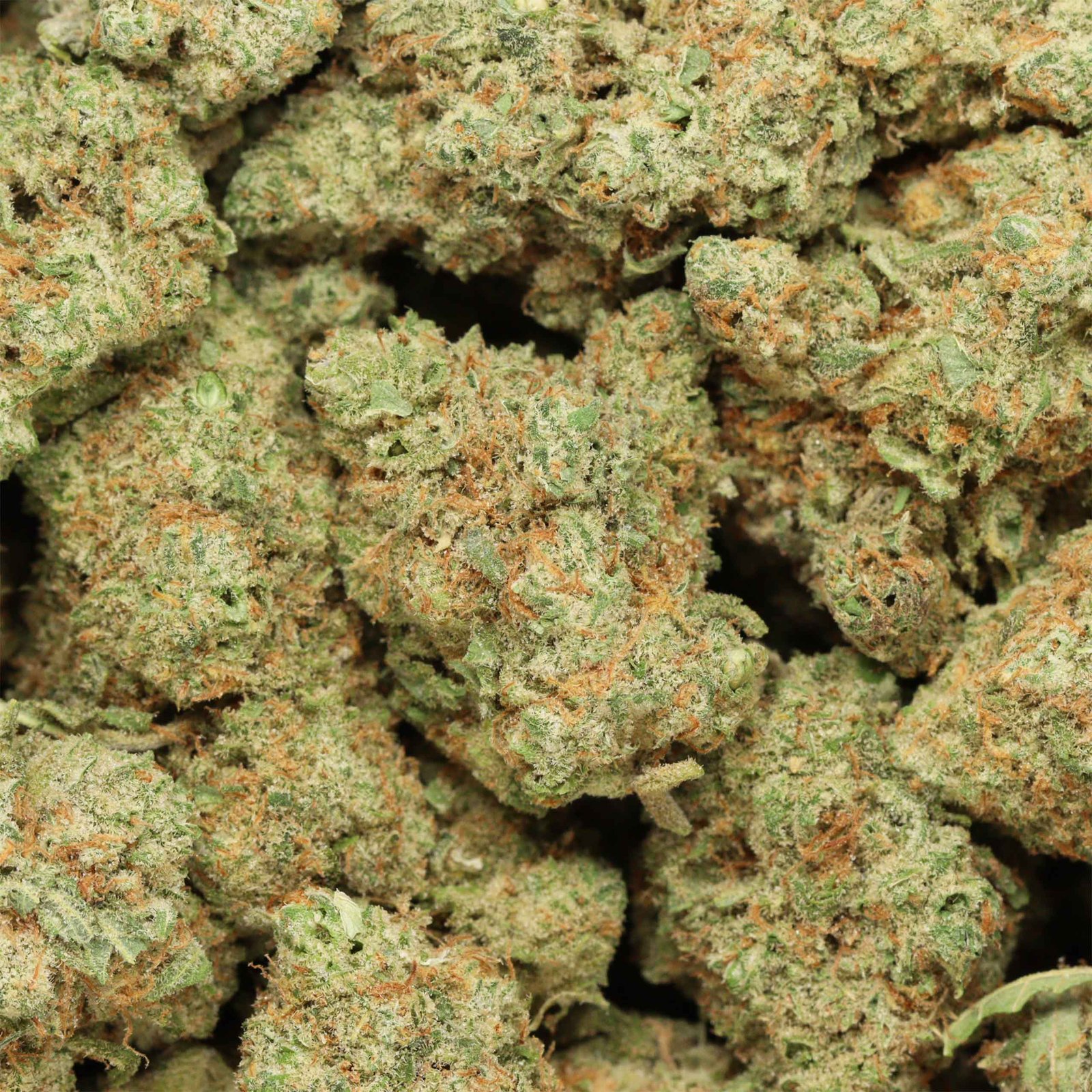 Gelato #33 - Image 3