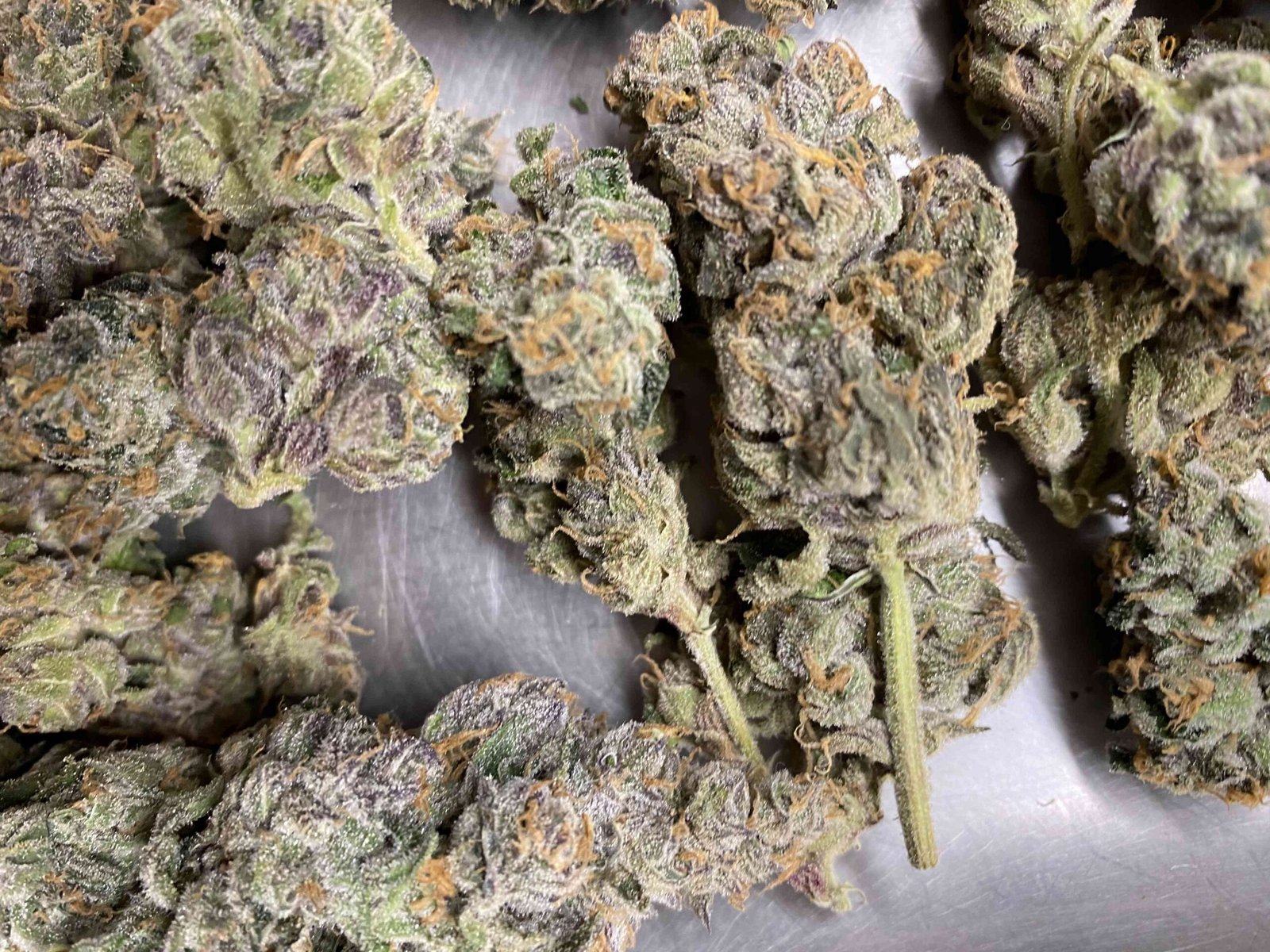 Venom Og Strain - Image 3
