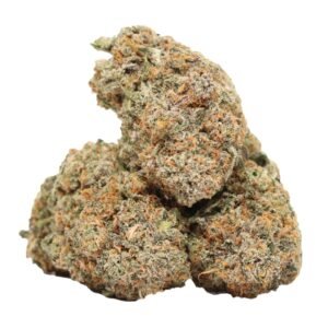 Jet Fuel
