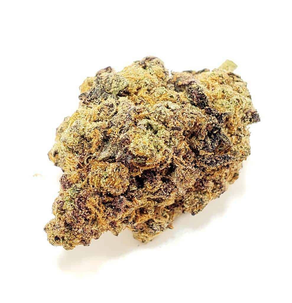 Jungle Cake Strain