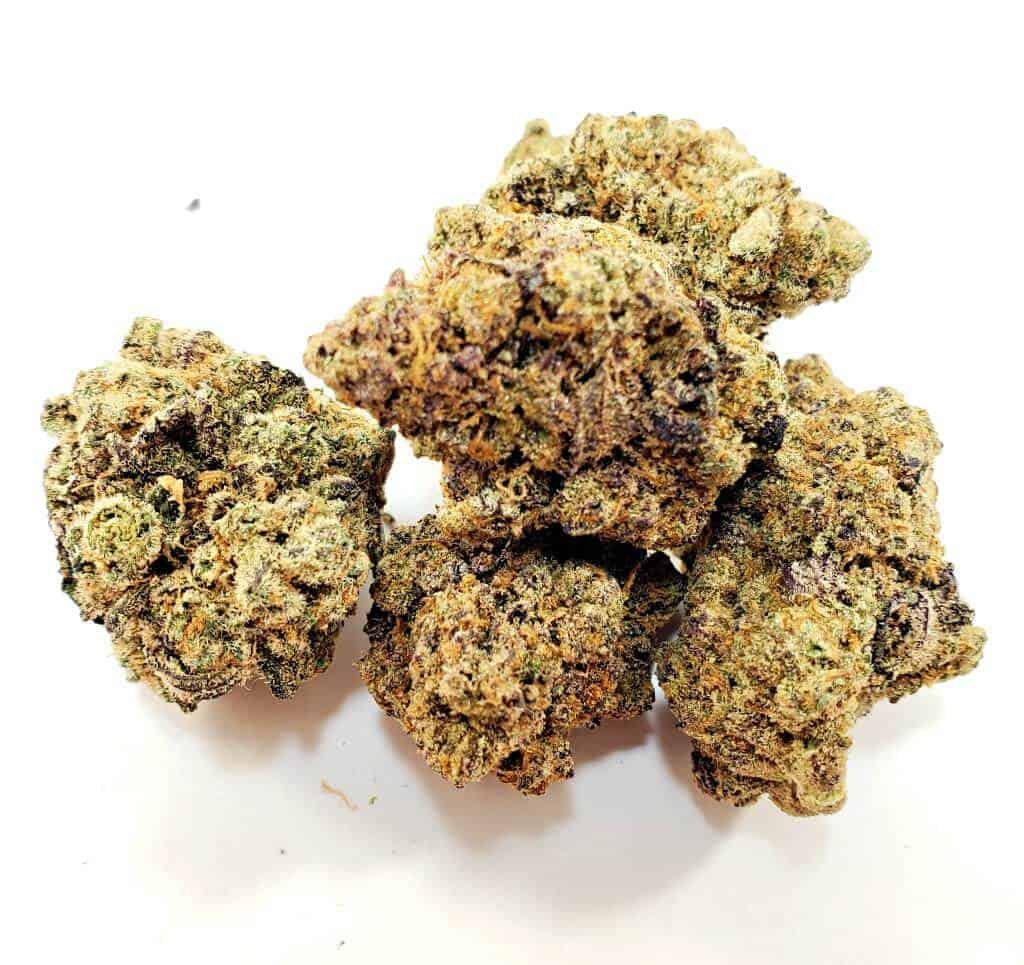 Jungle Cake Strain - Image 3