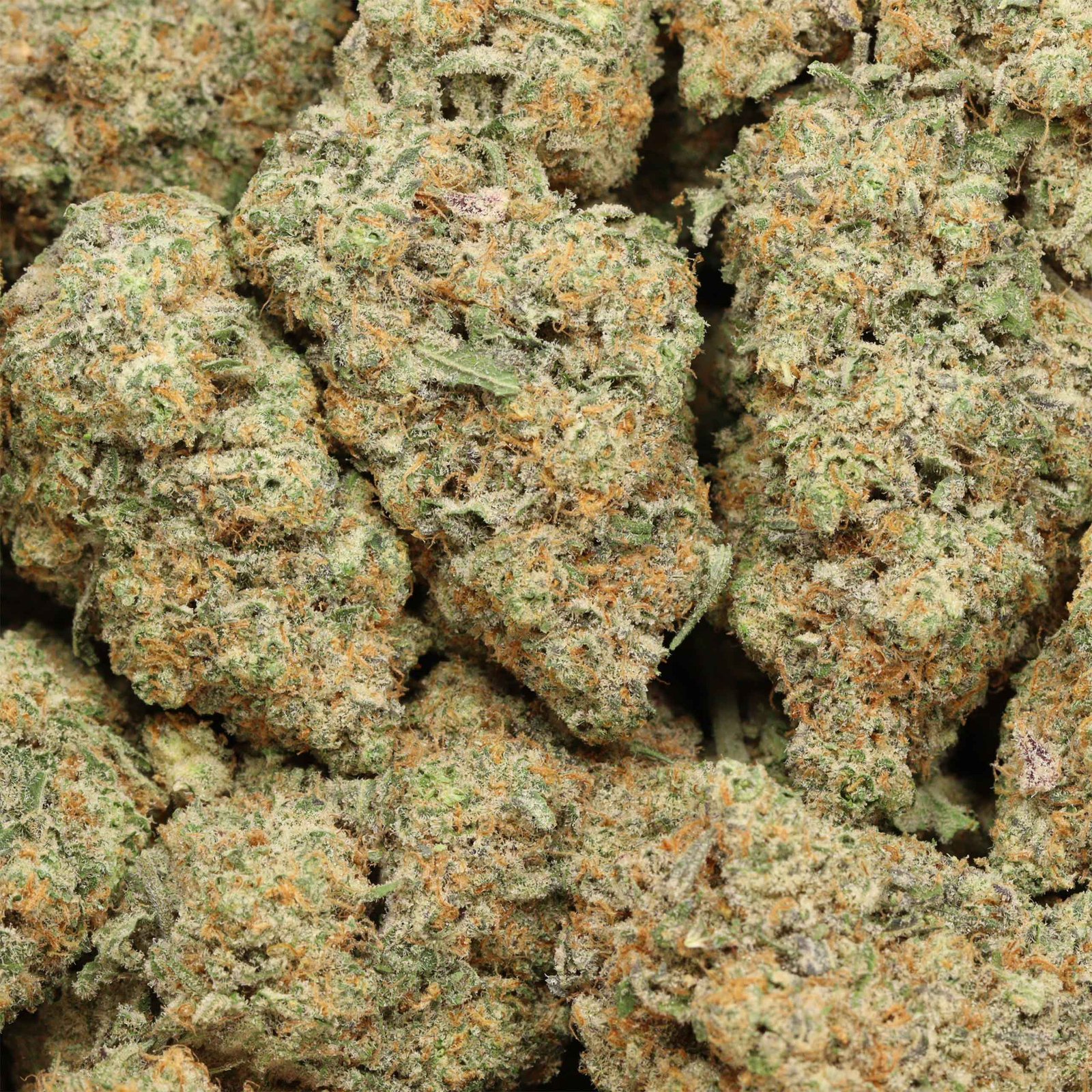 Mandarin Cookies AAAA+ Sativa Craft By Fore House - Image 3