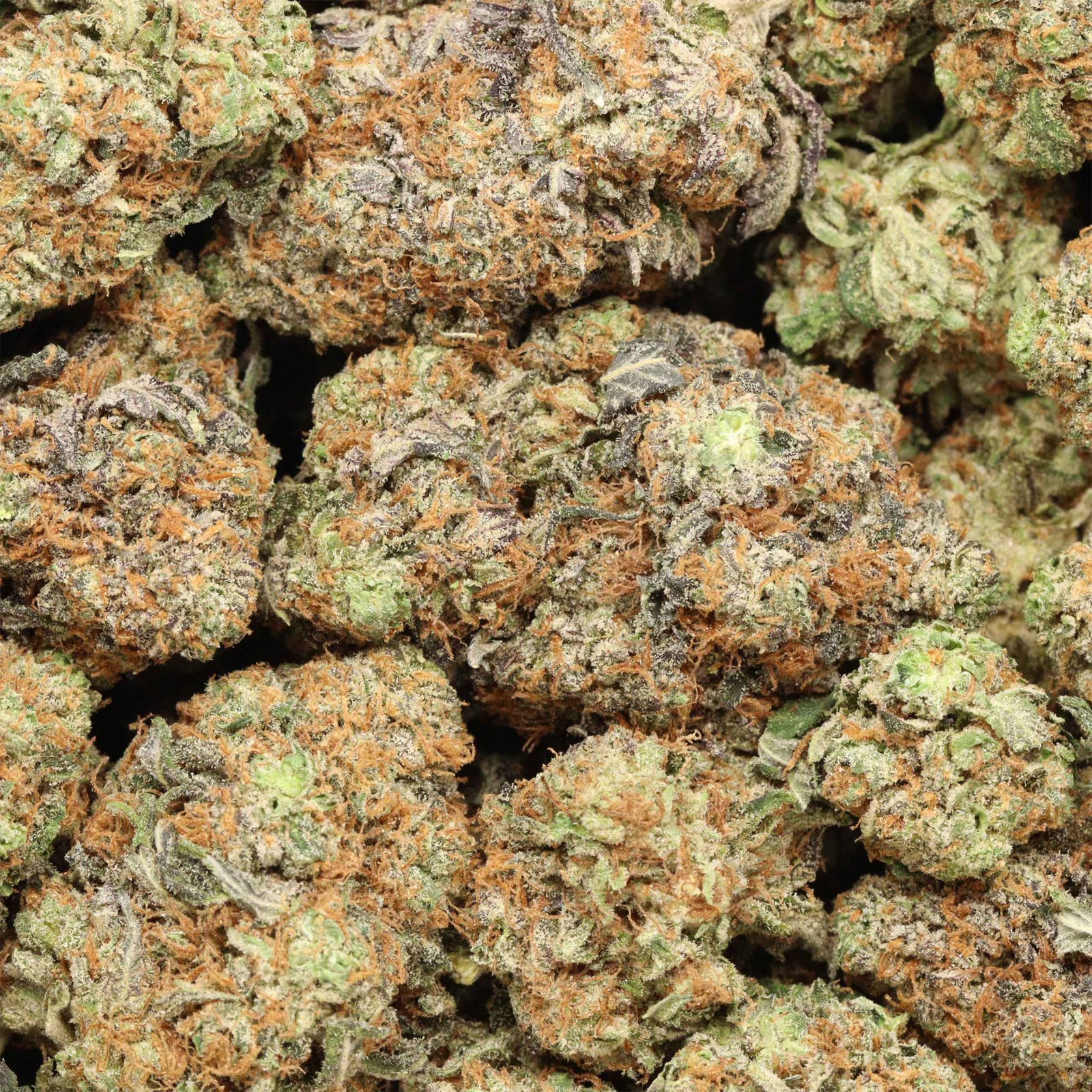 Peanut Butter Breath - Image 2