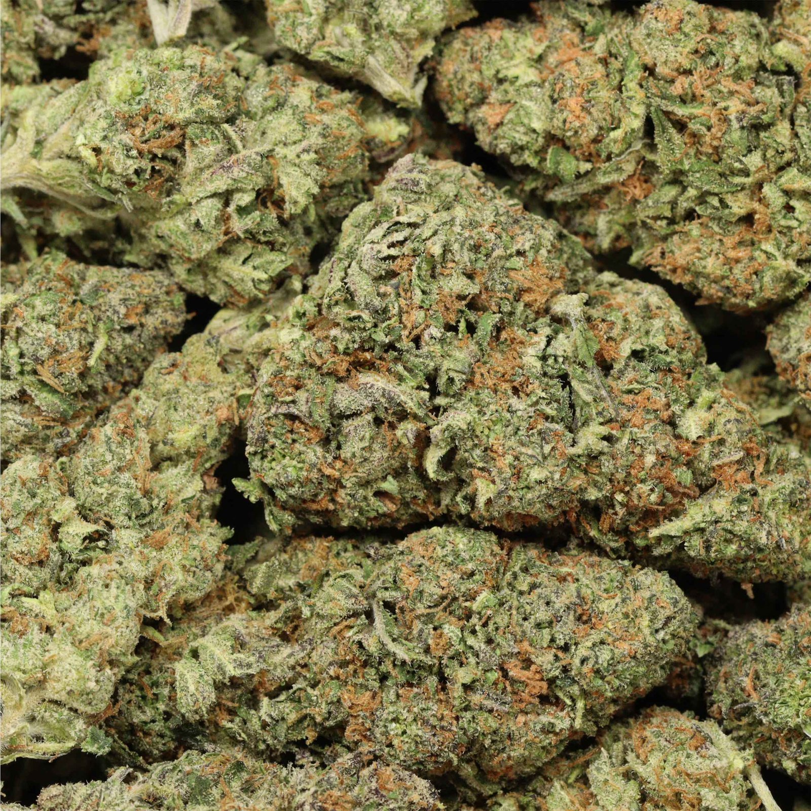 Purple Trainwreck - Image 3