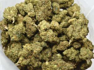 purple runtz weed strain