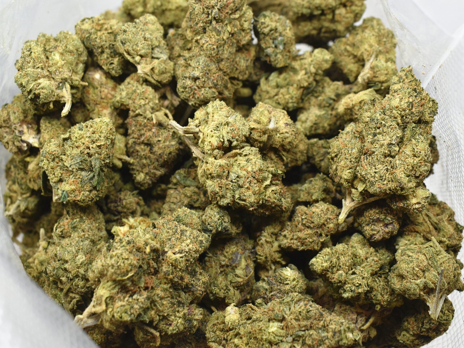 Purple Runtz Strain - Image 3