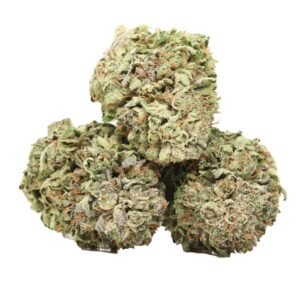 Purple Urkle