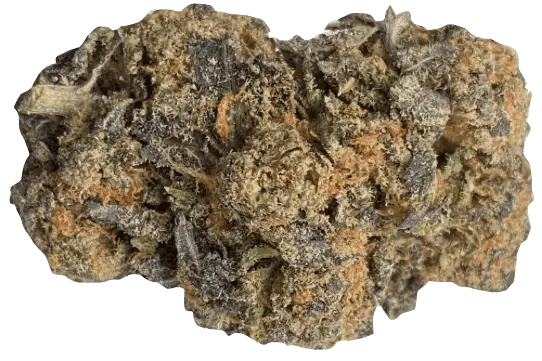 Sherblato Strain - Image 3