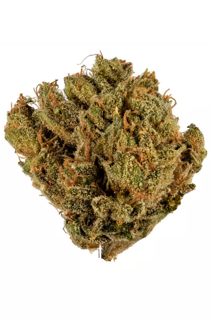 Venom Og Strain - Image 2