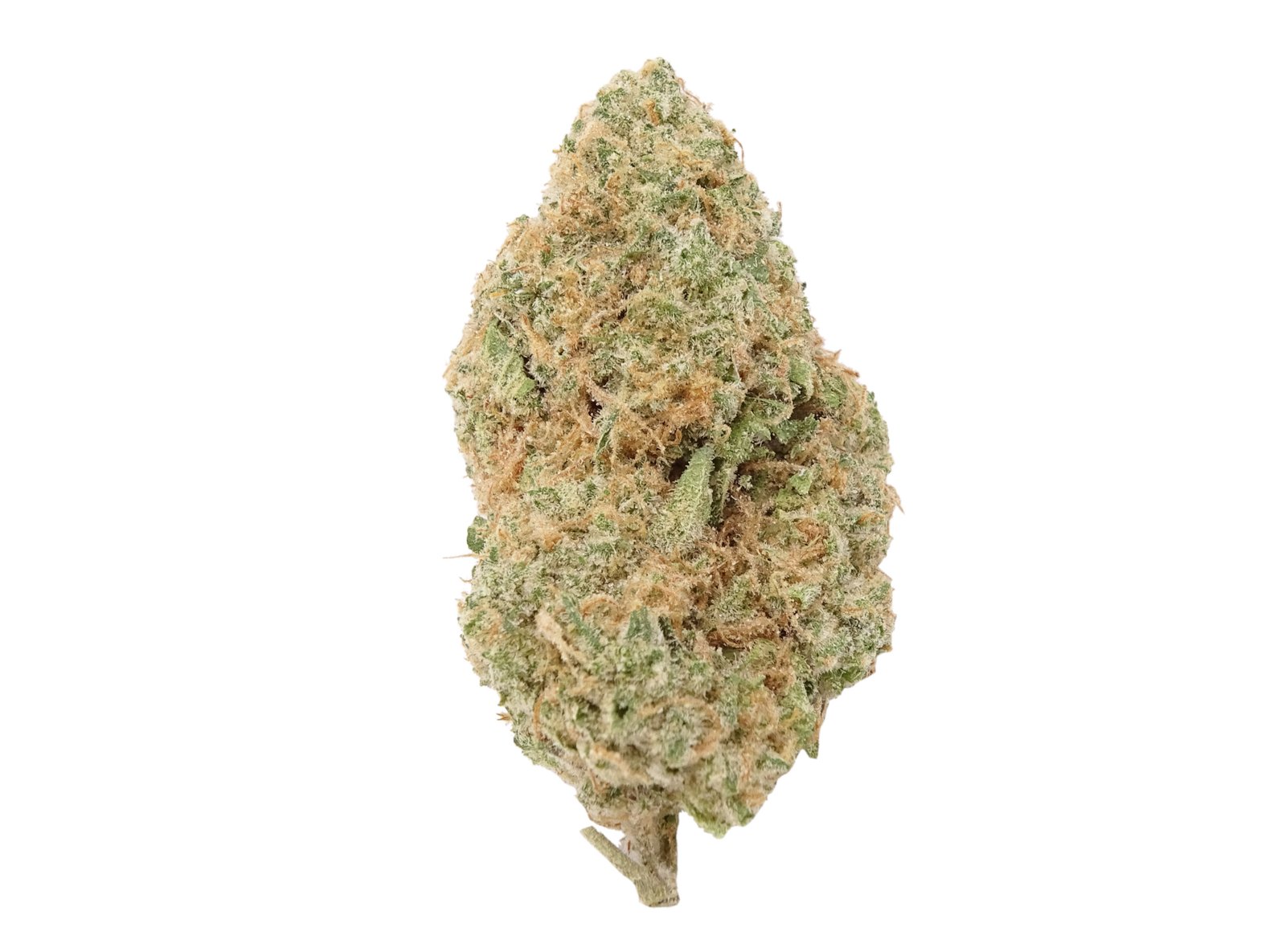 Honey Haze Strain