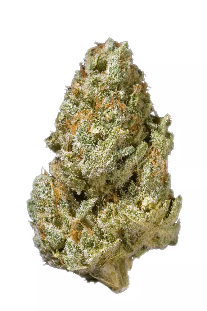 Honey Haze Strain - Image 2