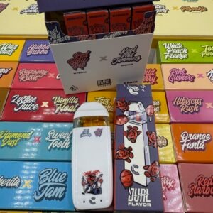 CHOICES LABS DUAL FLAVOR 2G DISPOSABLE