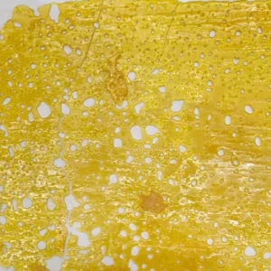 Mimosa Shatter