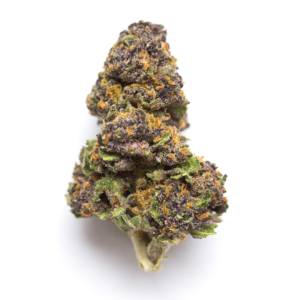Lato Pop Strain