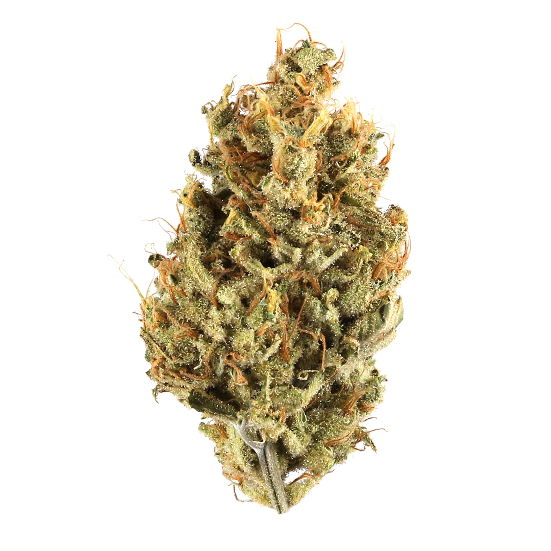 Jungle Cake Strain - Image 2