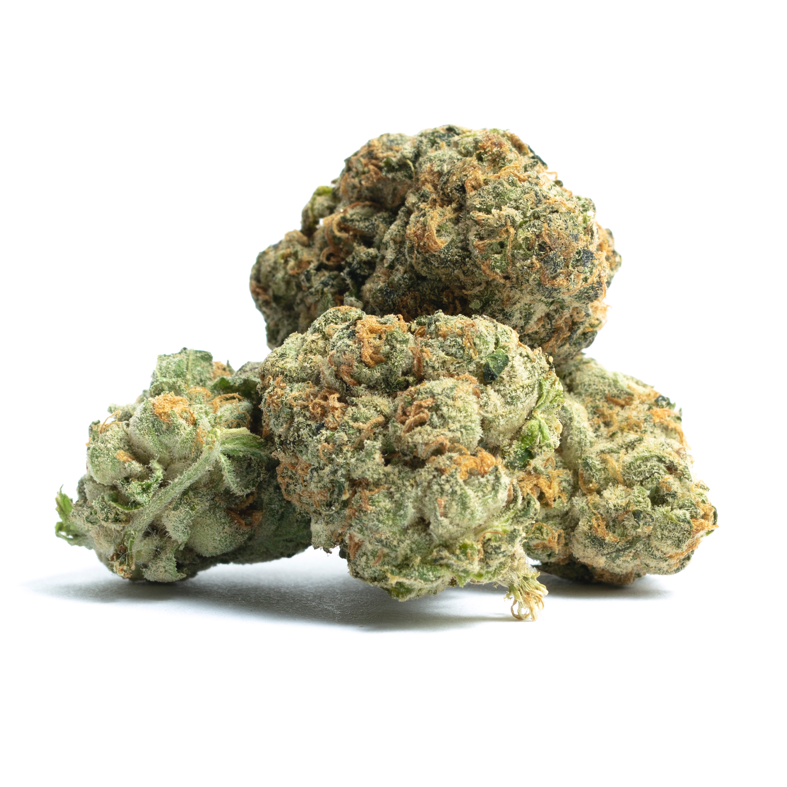 Sherblato Strain - Image 2