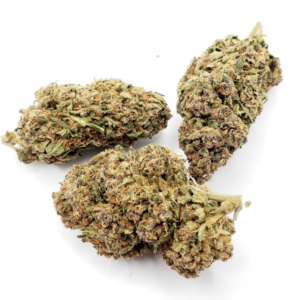 Venom Og Strain
