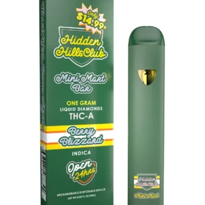 Berry Blizzard Hidden Hills Mini Mart Bar THC-A Rechargeable Disposable 1G