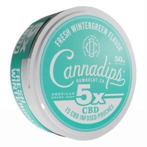 Fresh Wintergreen Cannadips 5X CBD Infused Pouches 15ct 750MG