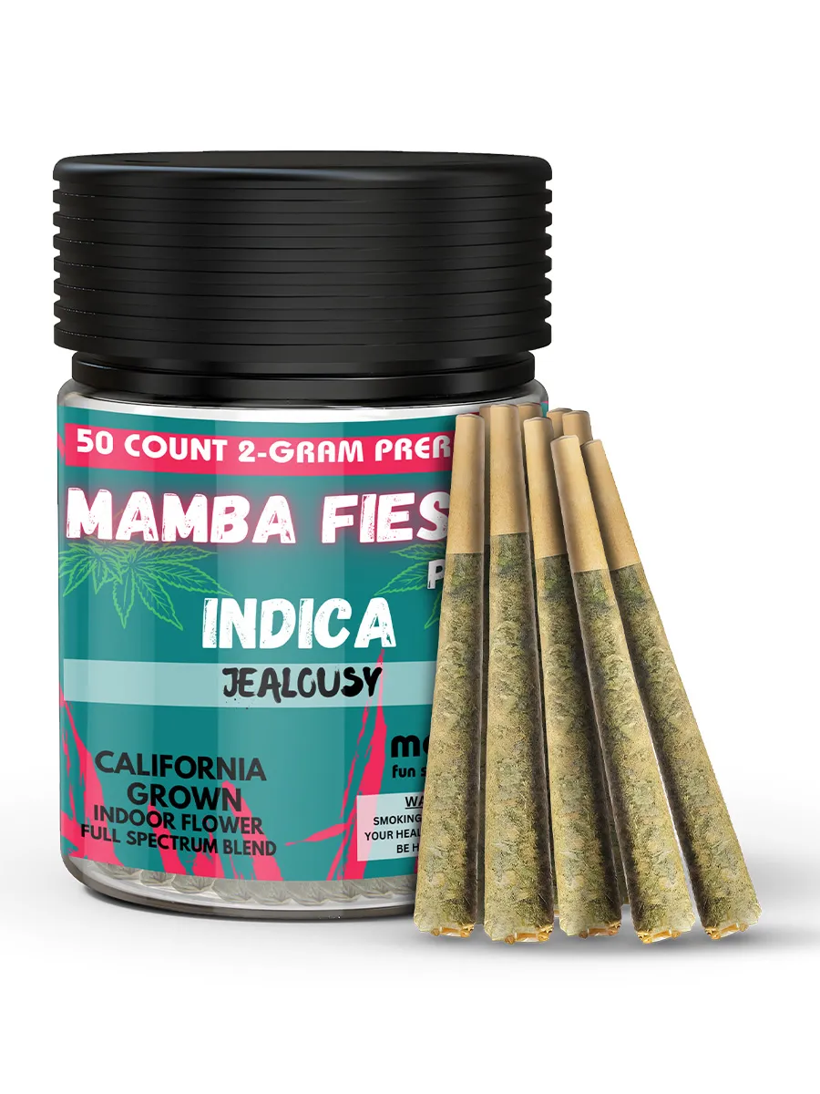 Jealousy Mamba Fiesta Full Spectrum Blend Pre-Roll 50ct x 2G