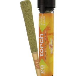 Mango Sherbet Torch Hashhole THC-A Pre-Rolls 2G