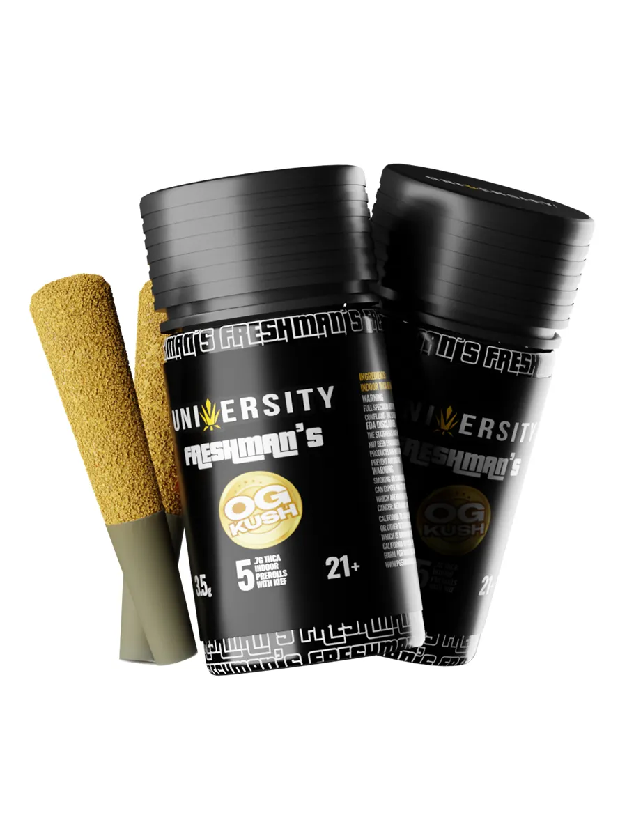 OG Kush University Freshman’s THCA Indoor Prerolls with Kief 3.5g