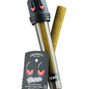 Pablotto University THCA Infused Exotic Flower Pre-Roll 2G