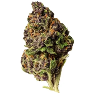 Tropical Cherry URB Fly High Premium Economy Frequent Flyer Flower 3.5g