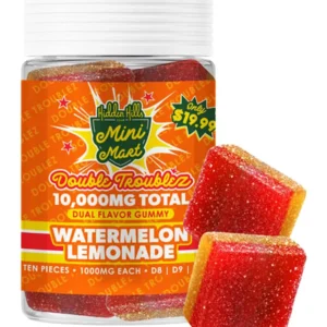 Watermelon Lemonade Hidden Hills Mini Mart Double Troublez Gummies 10ct 10G