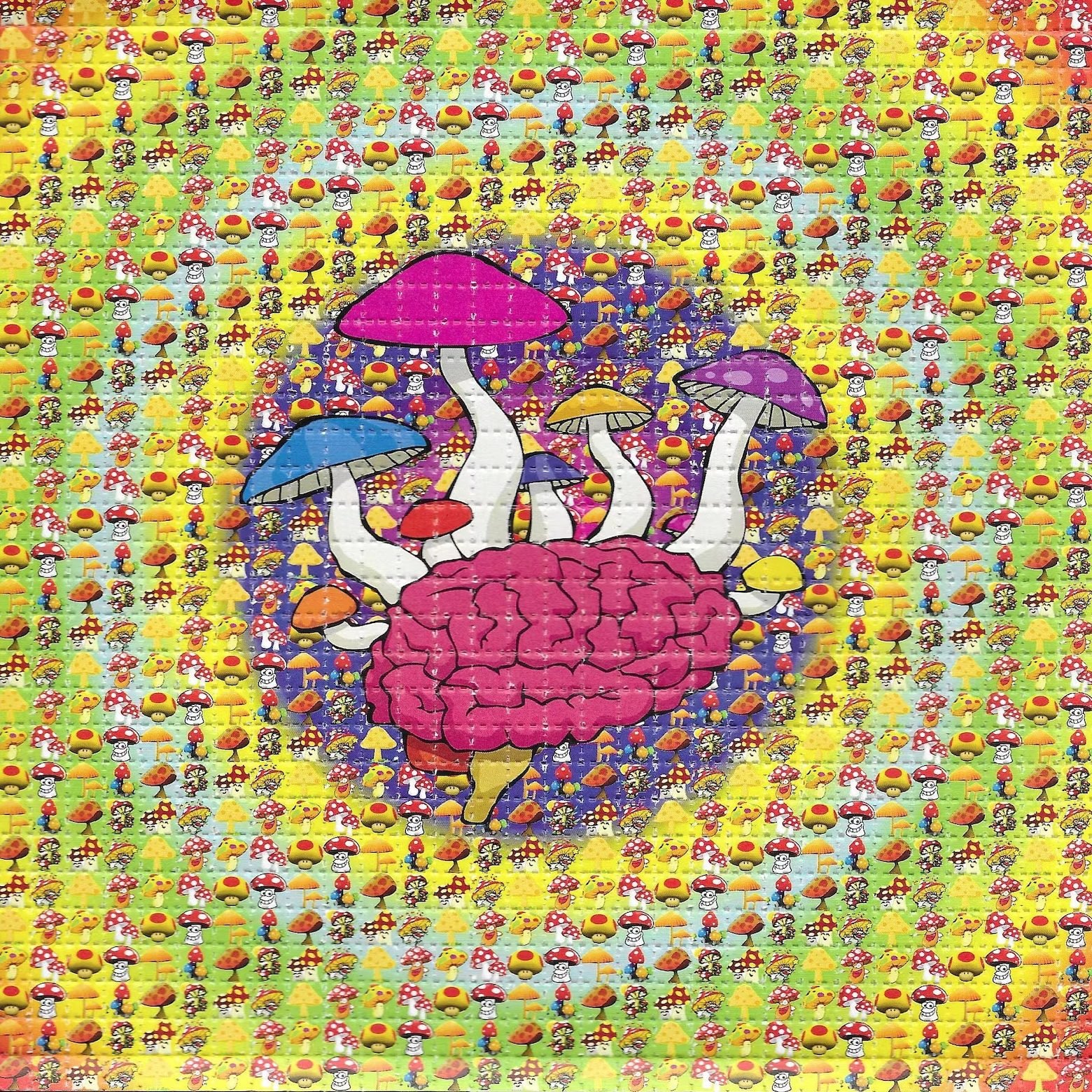 Buy LSD-25 Tabs Mushroom Brain