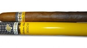 Cohiba Siglo III Tubo – Single Cigar