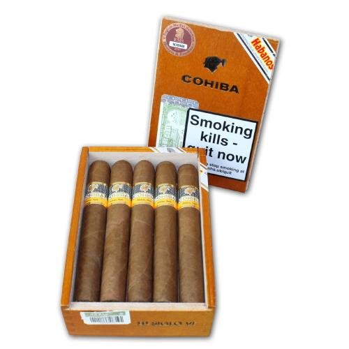 Cohiba Siglo VI – Box of 10 Cigars