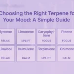Choosing the right THC strength and terpene profile for relaxation, focus, or sleep.