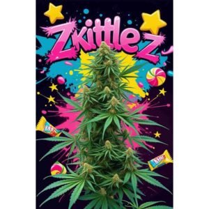 Zkittlez Auto Cannabis Seeds