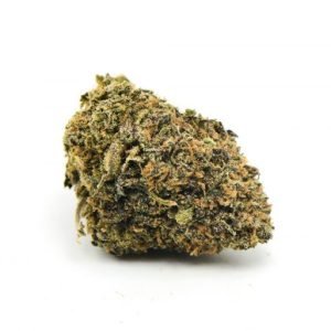 Purple White Lightning Weed