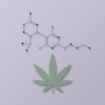 Illustration of a cannabinoid molecule above a hemp leaf