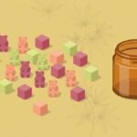 Illustration of cannabinoid gummies and a jar