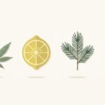 Illustration of hemp, lemon, pine and lavender representing terpenes